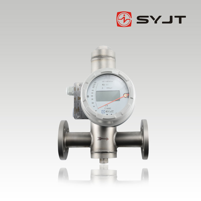 上儀SY-LZD浮子流量計