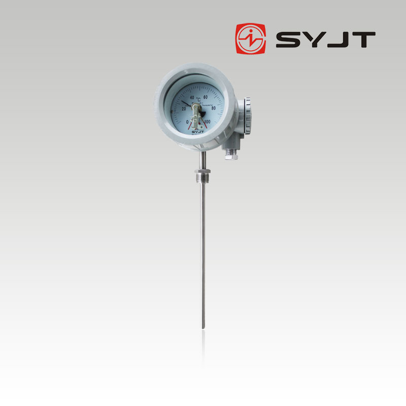 WSSB防爆型雙金屬溫度計(jì)