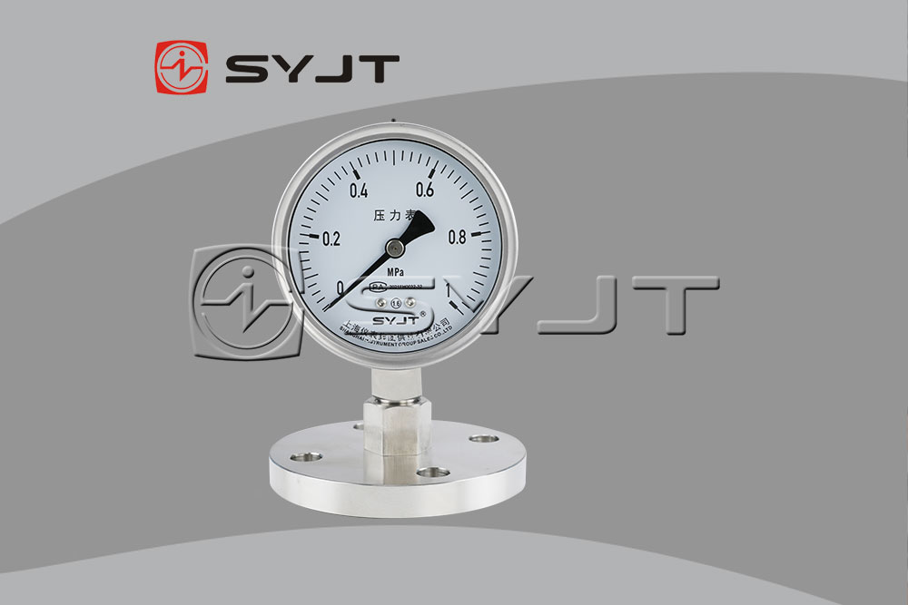 Y-100BF-MF法蘭安裝隔膜壓力表.jpg
