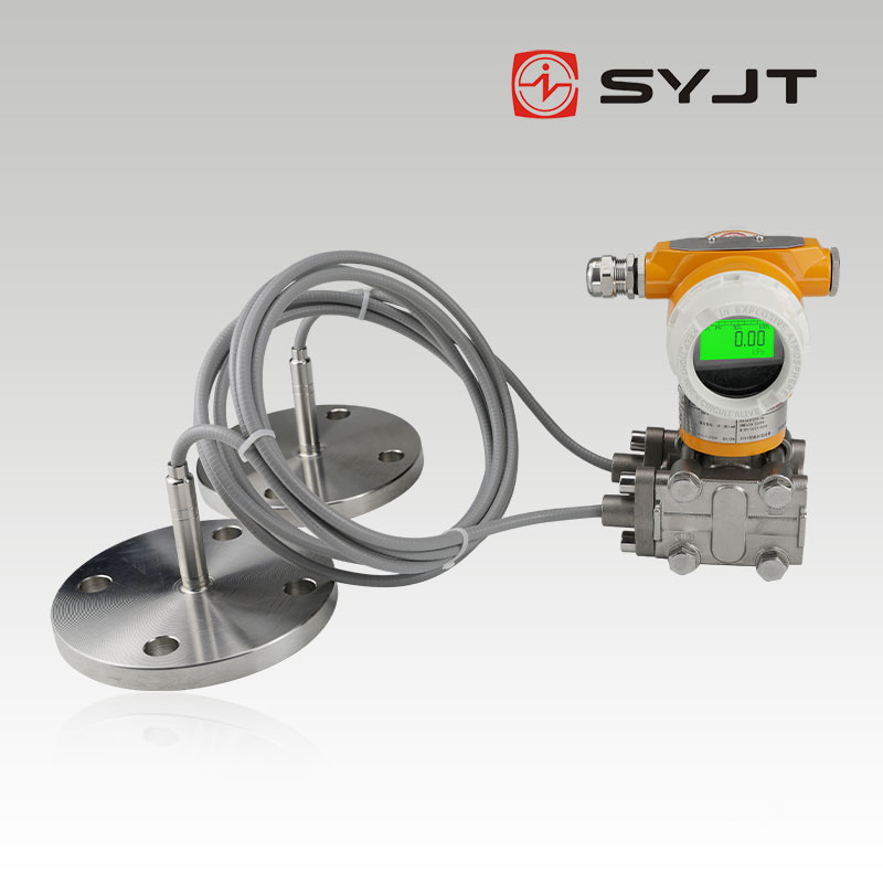 SY-3151DP系列雙法蘭液位變送器