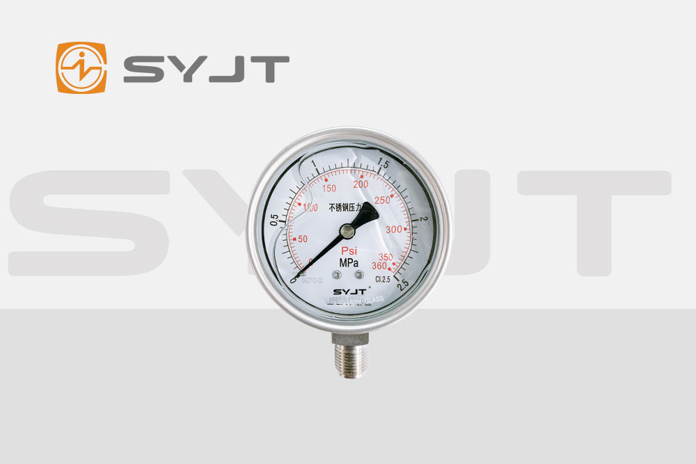 不銹鋼耐震壓力表.jpg